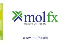 MolFx - Management