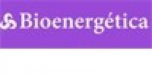 Bioenergética Escuela de Técnicas Corporales y Creativas