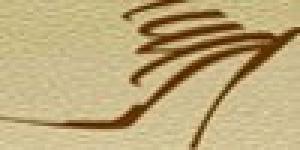 ACADEMIA DE DISEÑO DE CALZADOS