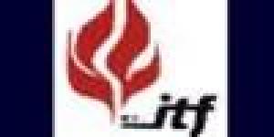 Instituto Tecnológico Del Fuego