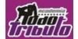 Academia Todo Tributo