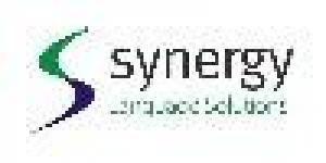 Synergy Language Solutions