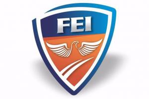 Instituto F.E.I