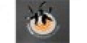 Instituto Forum Bartender's School.