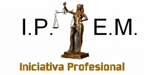 Iniciativa Profesional para el Nuevo Milenio (IPEM)