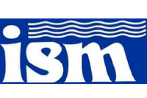 INSTITUTO SUPERIOR DE LA MUJER