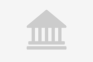 Servicios Profesionales e Informáticos