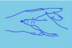 Escuela Superior de Digitopuntura