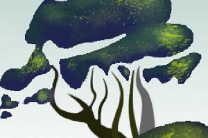 Celuma Centro de Estudios y Capacitación