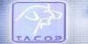 Terapia Asistida con Perros