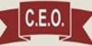 Centro de Estudios Organizacionales CEO