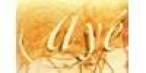 Ayé - Escuela de la Voz