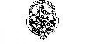 Universidad Nacional de La Plata