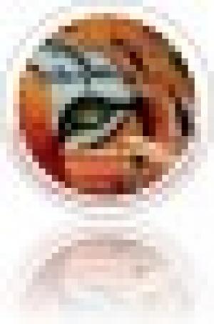 Profesorado de Pintura Decorativa