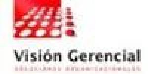 Visión Gerencial