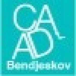 Centro de Artes Aplicadas y Diseño Evelyn Bendjeskov