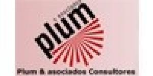 Plum & Asociados Consultores