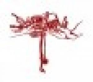 Escuela de Post-Grado en Orientación Vocacional