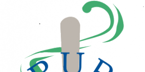 Fundación Grupo ICeS