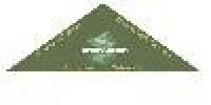 InterAcción - Consultores