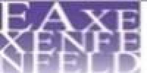 Estudio Axenfeld