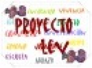 Proyecto Lev
