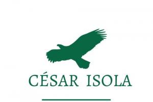 Isola Consultores