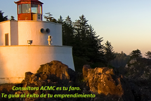 AMCM Consultora