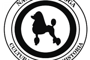 NQ Cultura