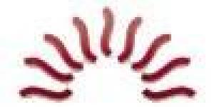Instituto Villasoles