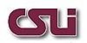 CSLI