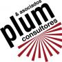 Plum y asociados Consultores Plum y asociados Consultores