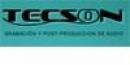 TECSON - Escuela de Grabación y Post-Producción de Audio