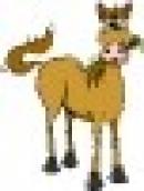 Equitacion - Salto, Adiestramiento y Paseo