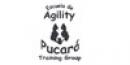 Escuela de Agility Pucará Training Group