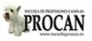Escuela Procan