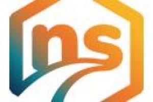 NS Consultora Organizacional