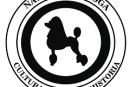 NQ Cultura