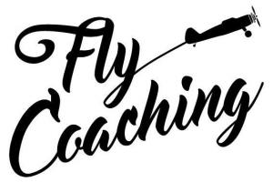 Fly Coaching
