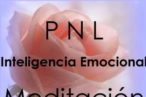 Salud y Bienestar de Pies a Cabeza