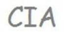 CIA Computación