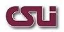 CSLI