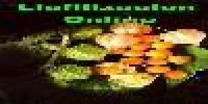 Liofilización online