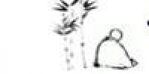 Centro Zong He de Salud y Alegría