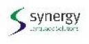 Synergy Language Solutions