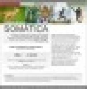 Experiencia Somatica Argentina