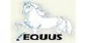Cursos Equus Caballos