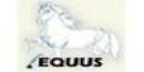 Cursos Equus Caballos