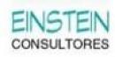 Einstein - Consultores y Capacitación