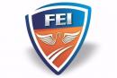 Instituto F.E.I